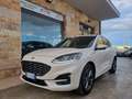 Ford Kuga Kuga III 2020 1.5 ecoblue ST-Line 2wd 120cv - thumbnail 2