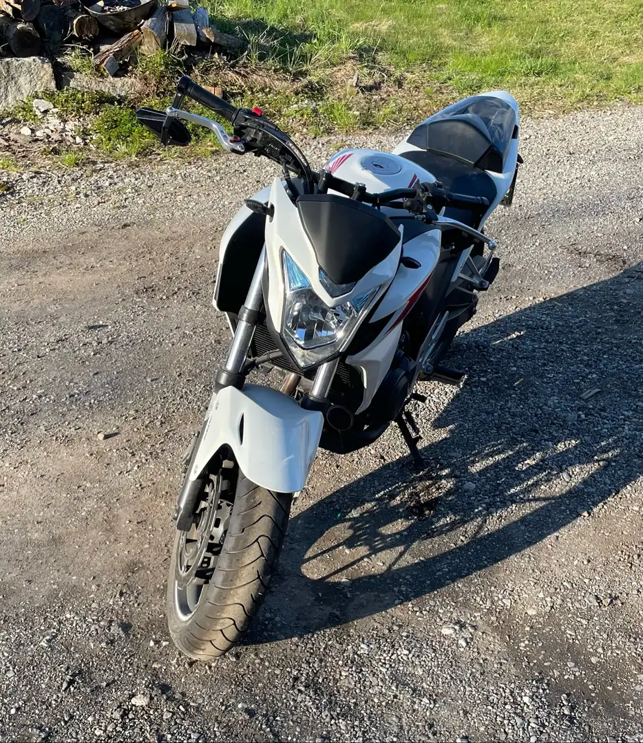 Honda CBF 500 - 1