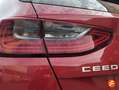 Kia Ceed / cee'd 1.0 T-GDI Drive Rojo - thumbnail 18