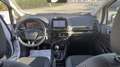 Ford EcoSport EcoSport 1.0 ecoboost Titanium s ! GARANZIA FORD ! Bianco - thumbnail 11