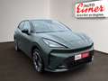 CUPRA Raval VZ 52/55 166 kW/225 PS Elektro Grün - thumbnail 19