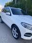 Mercedes-Benz GLE 250 GLE 250 d 4Matic (166.004) Weiß - thumbnail 7