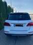 Mercedes-Benz GLE 250 GLE 250 d 4Matic (166.004) Weiß - thumbnail 3