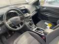 Ford Kuga Kuga II 2017 1.5 ecoboost Business s Bianco - thumbnail 3