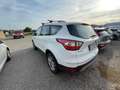 Ford Kuga Kuga II 2017 1.5 ecoboost Business s Bianco - thumbnail 8