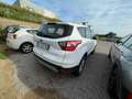 Ford Kuga Kuga II 2017 1.5 ecoboost Business s Bianco - thumbnail 6