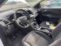 Ford Kuga Kuga II 2017 1.5 ecoboost Business s Bianco - thumbnail 5