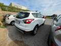 Ford Kuga Kuga II 2017 1.5 ecoboost Business s Bianco - thumbnail 11