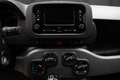 Fiat Panda 1.0 Firefly Hybrid City Life- 5 POSTI Bianco - thumbnail 10