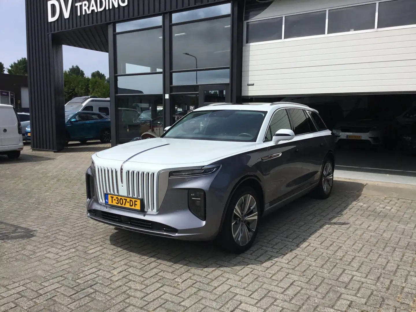 Hongqi E-HS9 Executive 99 kWh Grau - 1