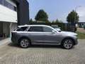 Hongqi E-HS9 Executive 99 kWh Grau - thumbnail 5