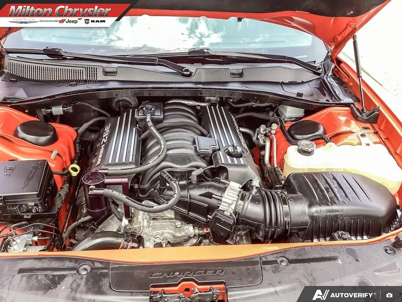 Dodge Charger fotografie Dodge Charger