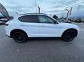 Alfa Romeo Stelvio 2.2 t B-Tech Q4 210cv auto Blanc - thumbnail 5
