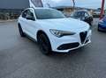 Alfa Romeo Stelvio 2.2 t B-Tech Q4 210cv auto Blanc - thumbnail 4
