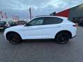 Alfa Romeo Stelvio 2.2 t B-Tech Q4 210cv auto Blanc - thumbnail 10
