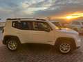 Jeep Renegade 1.6 mjt Limited 2wd 130cv Navi, Telecamera Weiß - thumbnail 7