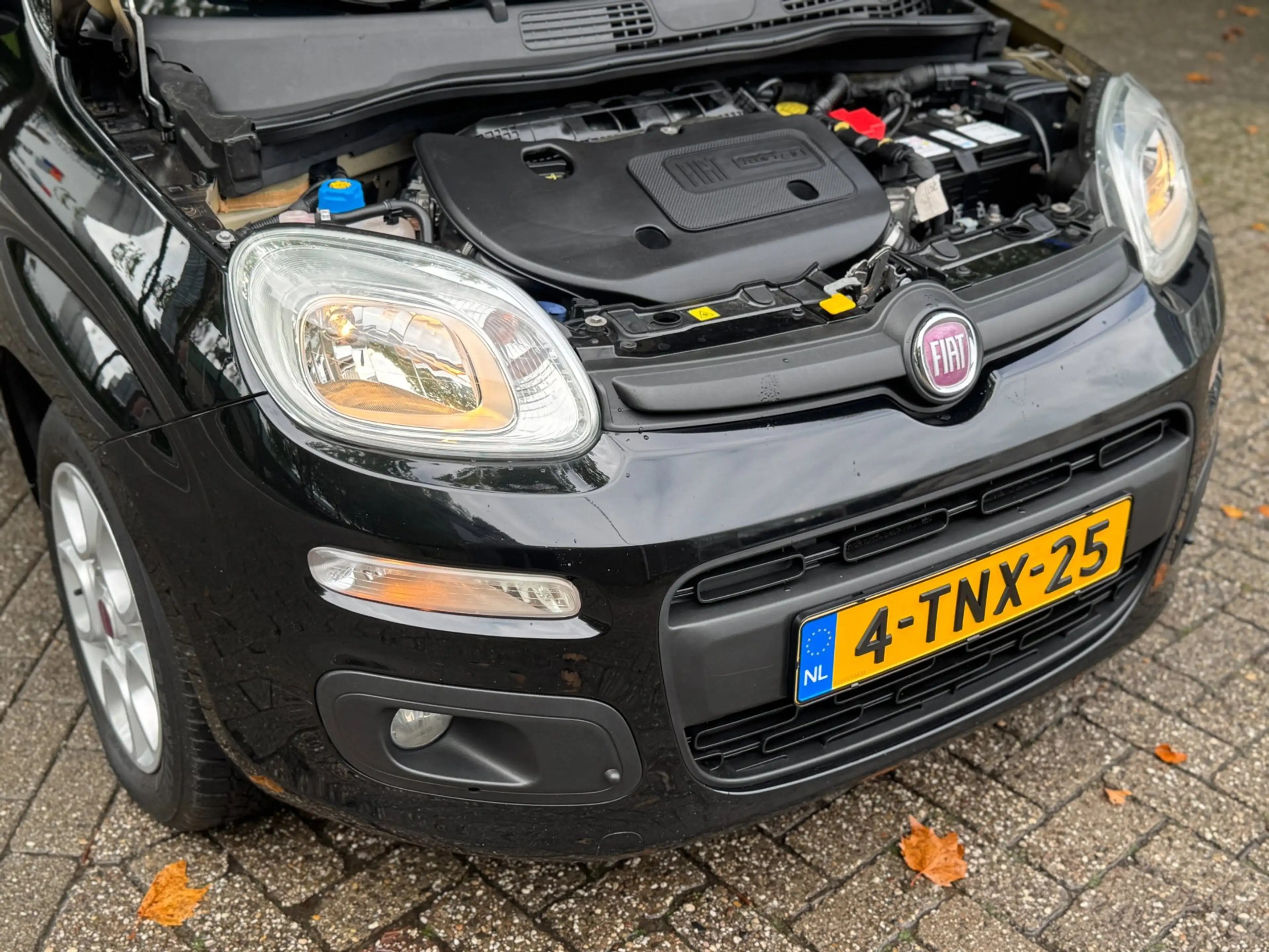 Fiat Panda 0.9 TwinAir Lounge Luxe uitvoering Vol onderhouden — photo 23