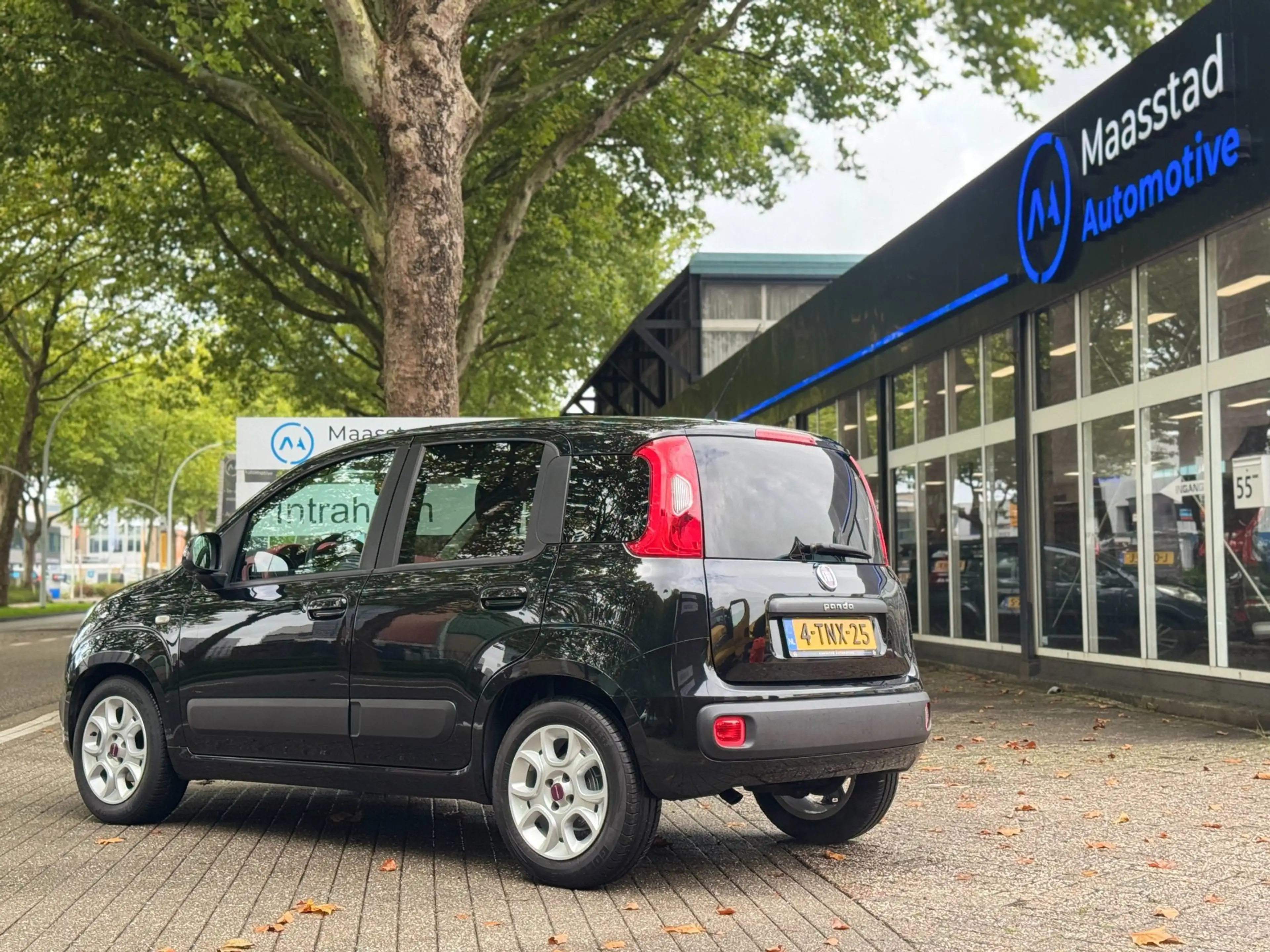 Fiat Panda 0.9 TwinAir Lounge Luxe uitvoering Vol onderhouden — photo 13