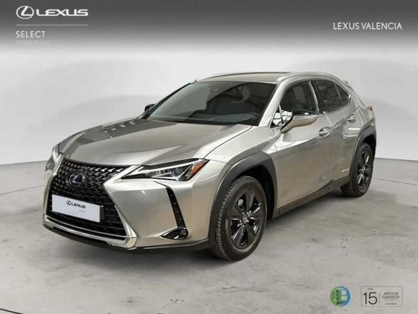 Lexus UX 250h Business City 2WD Gris - 1