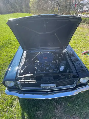 Ford Mustang Ansicht 10