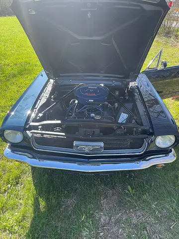 Ford Mustang Ansicht 7