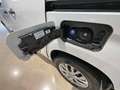 Citroen Berlingo Van BlueHDi S&S Talla M Club 100 Blanco - thumbnail 24