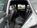 Audi Q5 3.0 TDI  quattro S-line Sport+ FINANZIERUNG Weiß - thumbnail 11