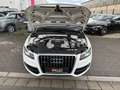 Audi Q5 3.0 TDI  quattro S-line Sport+ FINANZIERUNG Weiß - thumbnail 19