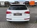Audi Q5 3.0 TDI  quattro S-line Sport+ FINANZIERUNG Weiß - thumbnail 5