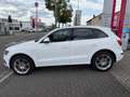 Audi Q5 3.0 TDI  quattro S-line Sport+ FINANZIERUNG Weiß - thumbnail 7