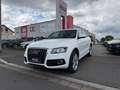 Audi Q5 3.0 TDI  quattro S-line Sport+ FINANZIERUNG Weiß - thumbnail 1