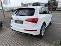 Audi Q5 3.0 TDI  quattro S-line Sport+ FINANZIERUNG Weiß - thumbnail 4