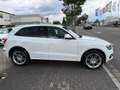 Audi Q5 3.0 TDI  quattro S-line Sport+ FINANZIERUNG Weiß - thumbnail 3