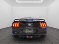 Ford Mustang Fastback 5.0 V8 GT *Recaro  *MagneRide Grau - thumbnail 5