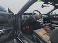 Ford Mustang Fastback 5.0 V8 GT *Recaro  *MagneRide Grau - thumbnail 11