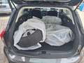 Ford Focus Cool & Connect Grau - thumbnail 11