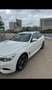BMW 335 335 335i High Ex. Wit - thumbnail 2