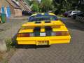 Chevrolet Camaro Unieke FS 87 Berlinetta killerbee Жовтий - thumbnail 3