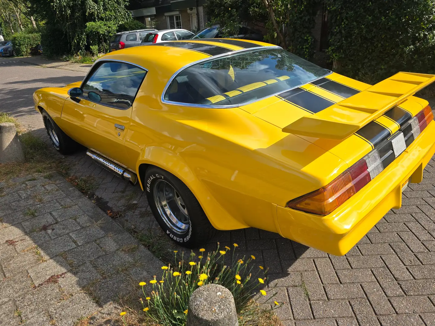 Chevrolet Camaro Unieke FS 87 Berlinetta killerbee Жовтий - 2