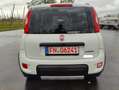 Fiat Panda Panda 1.0 GSE Hybrid City Life / Klimaautomatik Weiß - thumbnail 5
