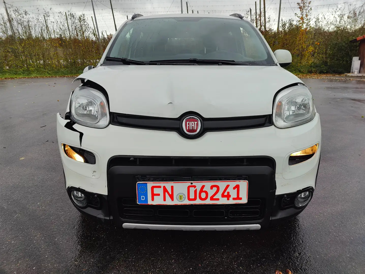 Fiat Panda Panda 1.0 GSE Hybrid City Life / Klimaautomatik Weiß - 2