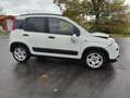 Fiat Panda Panda 1.0 GSE Hybrid City Life / Klimaautomatik Weiß - thumbnail 7