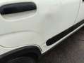 Fiat Panda Panda 1.0 GSE Hybrid City Life / Klimaautomatik Weiß - thumbnail 19