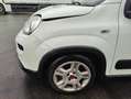 Fiat Panda Panda 1.0 GSE Hybrid City Life / Klimaautomatik Weiß - thumbnail 24