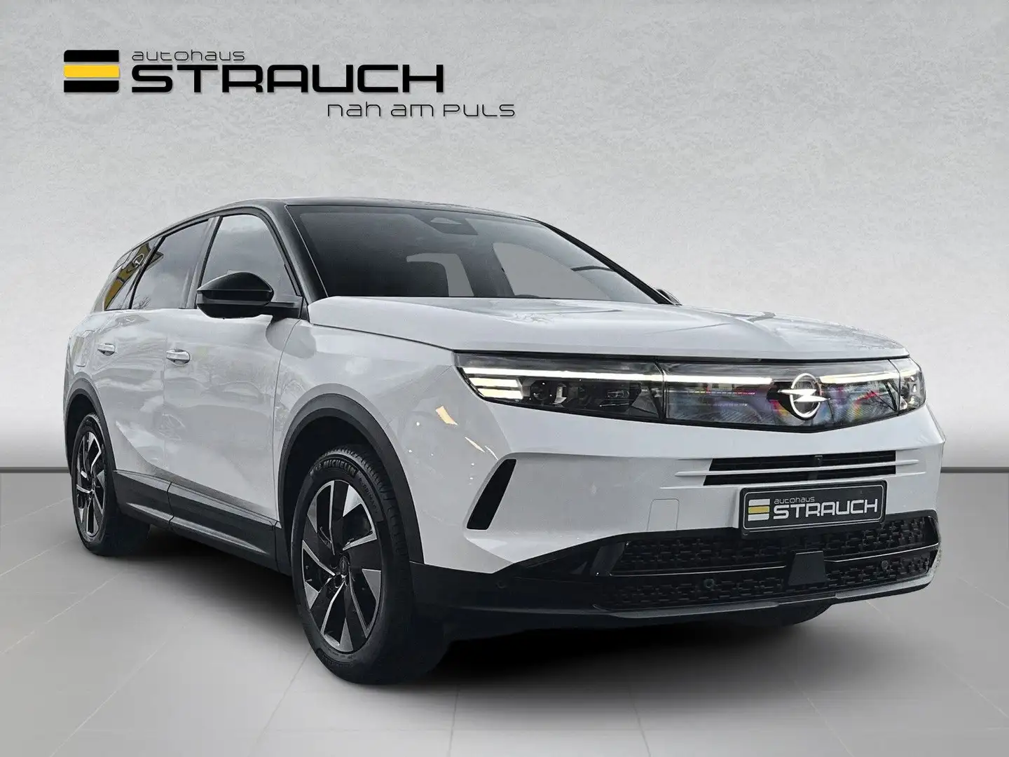Opel Grandland X Grandland GS 1.2 MHEV Navi/Matrix/FOCAL/HUD/LHz Weiß - 1