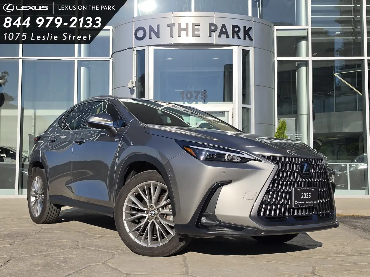 2025 Lexus NX