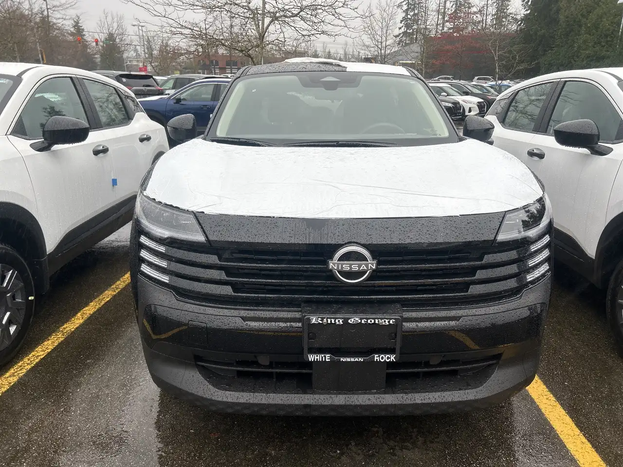 Nissan Kicks снимка Nissan Kicks