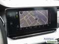 Skoda Octavia Combi 2.0TDI 110KW DSG MATRIX HUD ASSISTS Schwarz - thumbnail 10