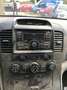 Kia Carnival 2.9 CRDi VGT LX Klima Grüne Feinstaubplakette Albastru - thumbnail 15