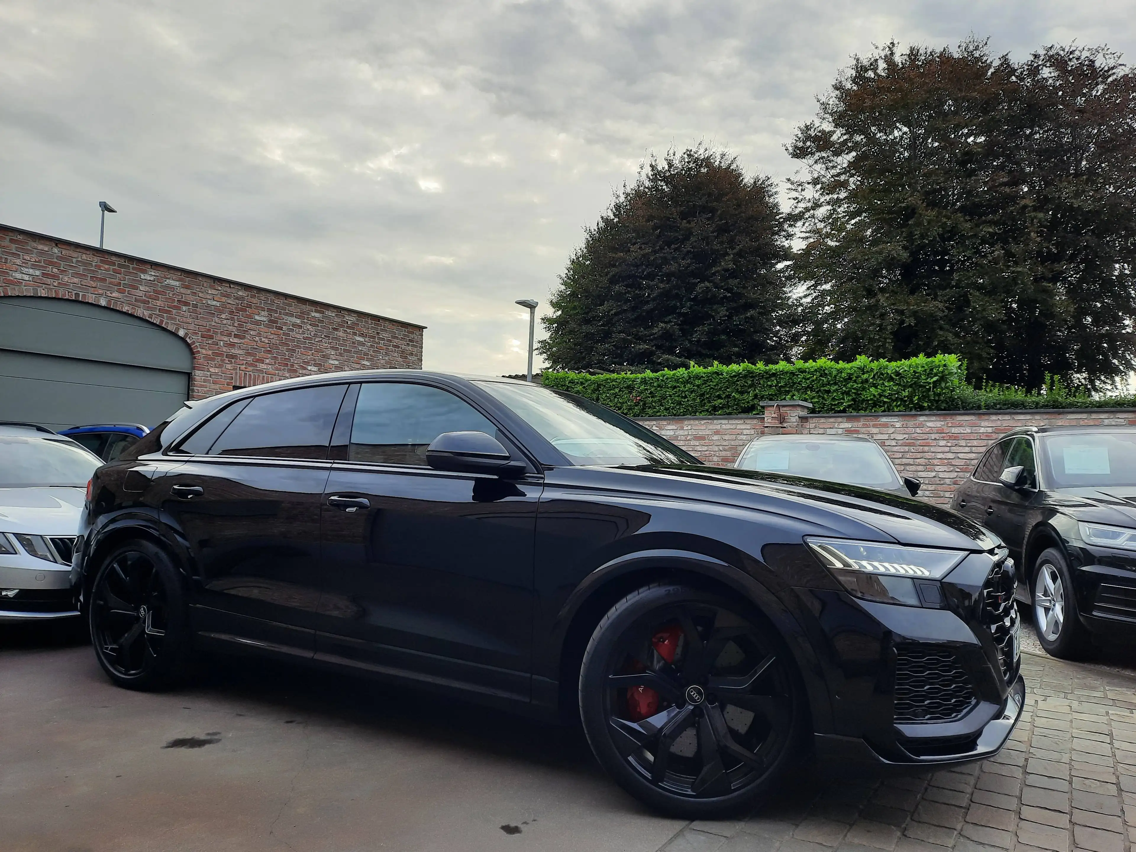 Audi RS Q8 Black Editie — photo 9